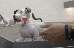 这层“亲缘关系”