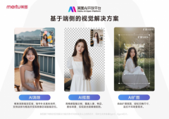 面向手机、PC等终端设备集成前沿生成式AI功能